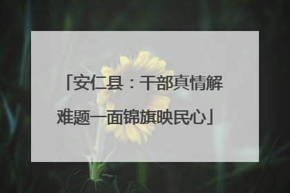 安仁县：干部真情解难题一面锦旗映民心