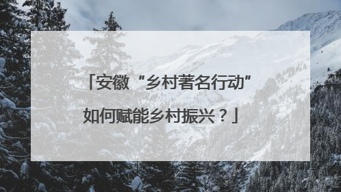 安徽“乡村著名行动”如何赋能乡村振兴？