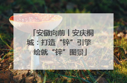 安徽向前丨安庆桐城：打造“锌”引擎 绘就“锌”图景