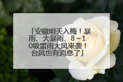 安徽明天入梅！暴雨、大暴雨、8～10级雷雨大风来袭！台风也有消息了