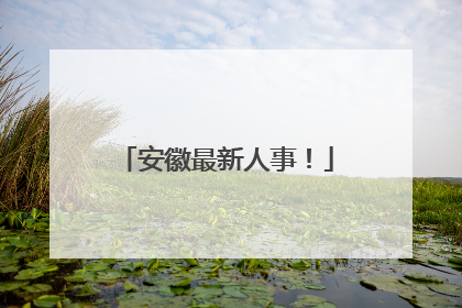 安徽最新人事！