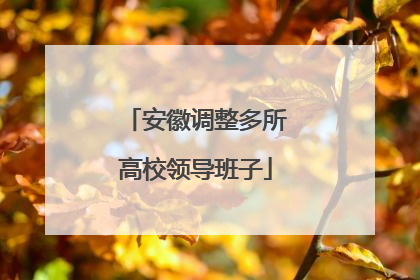 安徽调整多所高校领导班子