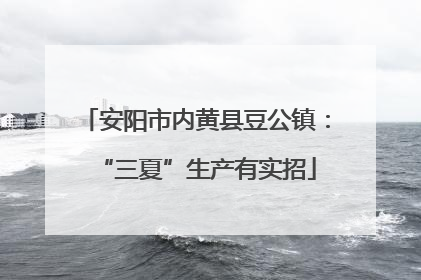 安阳市内黄县豆公镇：“三夏”生产有实招