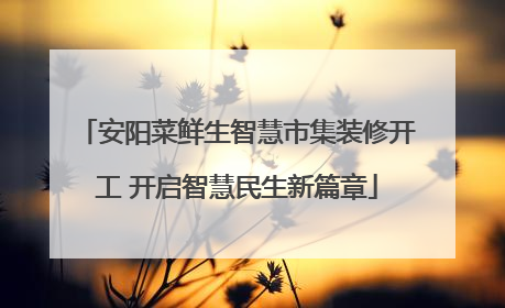 安阳菜鲜生智慧市集装修开工 开启智慧民生新篇章
