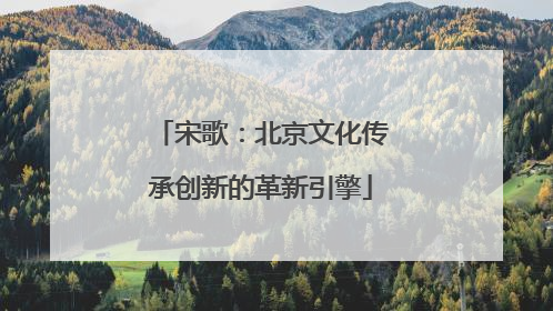 宋歌：北京文化传承创新的革新引擎