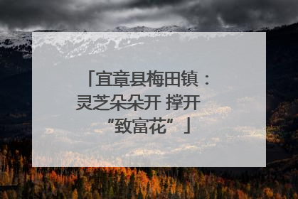 宜章县梅田镇：灵芝朵朵开 撑开“致富花”