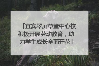 宜宾翠屏草堂中心校积极开展劳动教育，助力学生成长全面开花