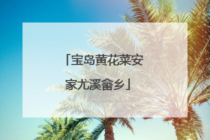 宝岛黄花菜安家尤溪畲乡