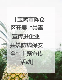 宝鸡市陈仓区开展“禁毒宣传进企业 共筑防线保安全”主题宣传活动