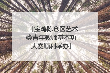 宝鸡陈仓区艺术类青年教师基本功大赛顺利举办