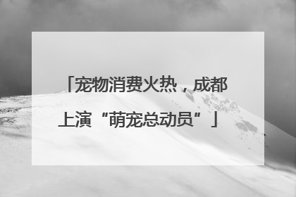 宠物消费火热，成都上演“萌宠总动员”
