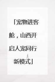 宠物进客舱，山西开启人宠同行新模式