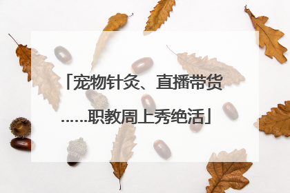 宠物针灸、直播带货……职教周上秀绝活