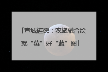 宣城旌德：农旅融合绘就“莓”好“蓝”图