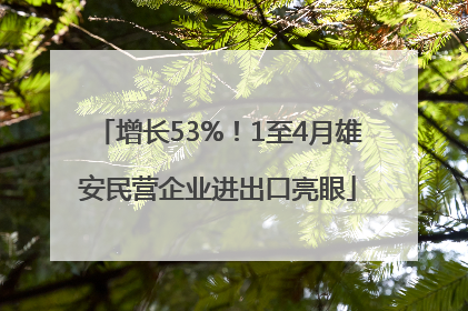 增长53%！1至4月雄安民营企业进出口亮眼