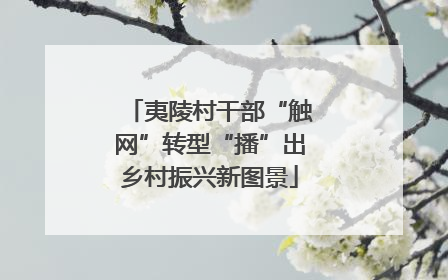 夷陵村干部“触网”转型“播”出乡村振兴新图景