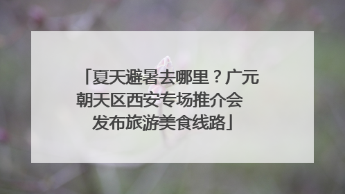夏天避暑去哪里？广元朝天区西安专场推介会 发布旅游美食线路