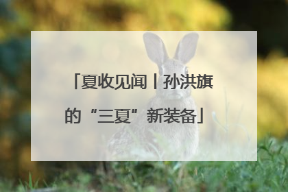夏收见闻丨孙洪旗的“三夏”新装备