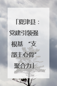 夏津县：党建引领强根基 “支部主心骨”聚合力