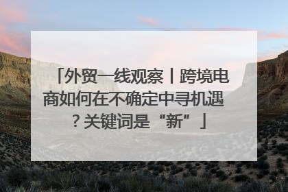 外贸一线观察丨跨境电商如何在不确定中寻机遇？关键词是“新”