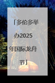 多伦多举办2025年国际龙舟节