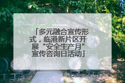 多元融合宣传形式，临港新片区开展“安全生产月”宣传咨询日活动