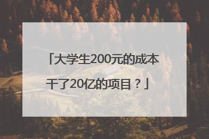大学生200元的成本干了20亿的项目？