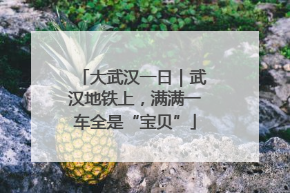 大武汉一日｜武汉地铁上，满满一车全是“宝贝”