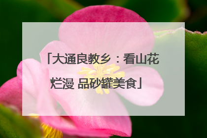 大通良教乡：看山花烂漫 品砂罐美食