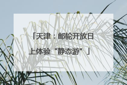 天津：邮轮开放日上体验“静态游”