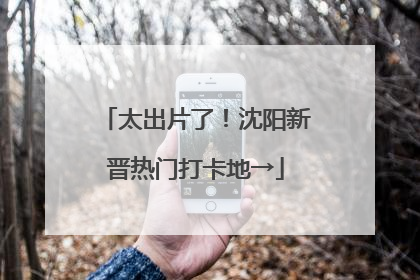 太出片了！沈阳新晋热门打卡地→