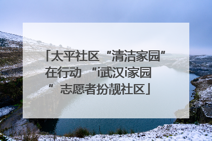 太平社区“清洁家园”在行动 “i武汉i家园”志愿者扮靓社区