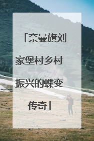奈曼旗刘家堡村乡村振兴的蝶变传奇