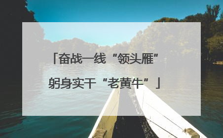 奋战一线“领头雁” 躬身实干“老黄牛”