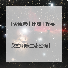 奔流城市计划丨探寻戈壁明珠生态密码