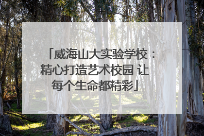 威海山大实验学校：精心打造艺术校园 让每个生命都精彩