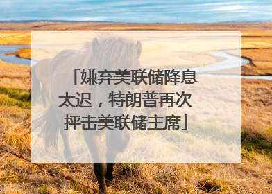 嫌弃美联储降息太迟，特朗普再次抨击美联储主席
