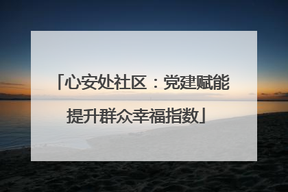 心安处社区：党建赋能 提升群众幸福指数