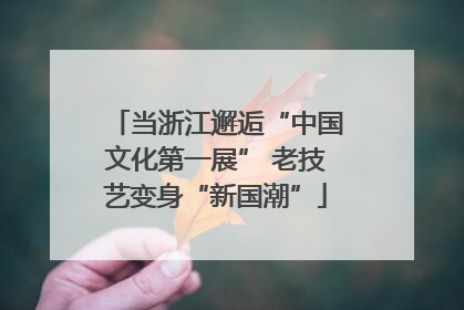 当浙江邂逅“中国文化第一展” 老技艺变身“新国潮”