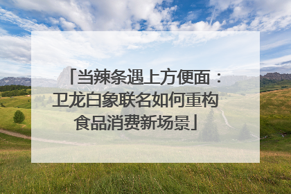 当辣条遇上方便面：卫龙白象联名如何重构食品消费新场景