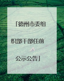 德州市委组织部干部任前公示公告