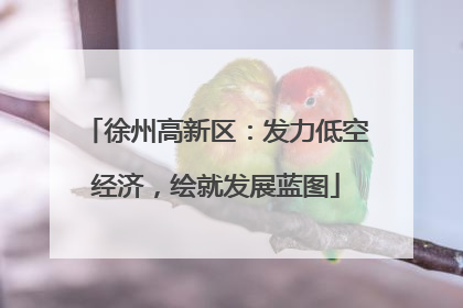 徐州高新区：发力低空经济，绘就发展蓝图