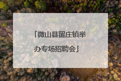 微山县留庄镇举办专场招聘会