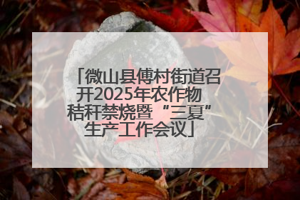 微山县傅村街道召开2025年农作物秸秆禁烧暨“三夏”生产工作会议