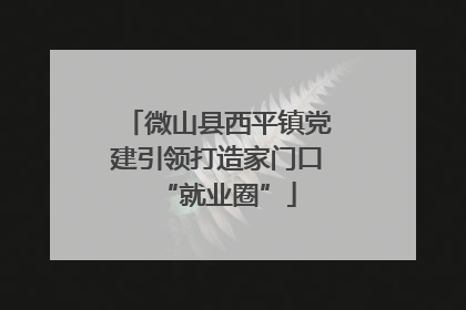 微山县西平镇党建引领打造家门口“就业圈”