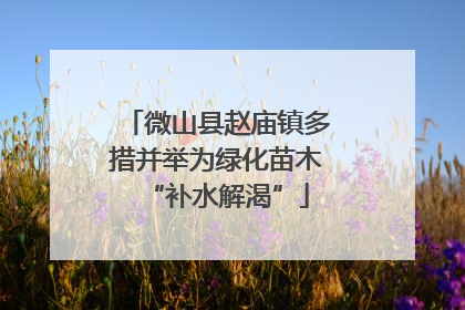 微山县赵庙镇多措并举为绿化苗木“补水解渴”
