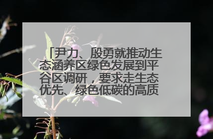 尹力、殷勇就推动生态涵养区绿色发展到平谷区调研，要求走生态优先、绿色低碳的高质量发展之路