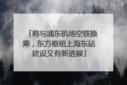 将与浦东机场空铁换乘，东方枢纽上海东站建设又有新进展