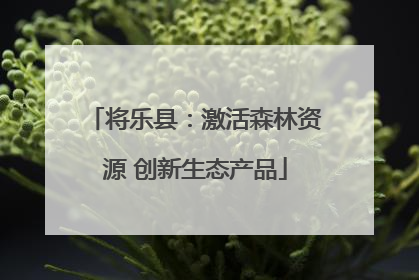 将乐县：激活森林资源 创新生态产品