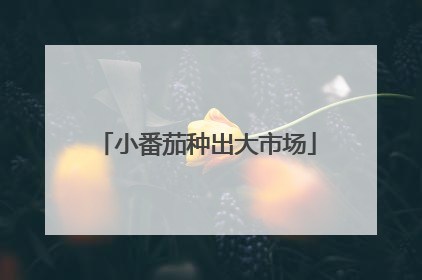 小番茄种出大市场